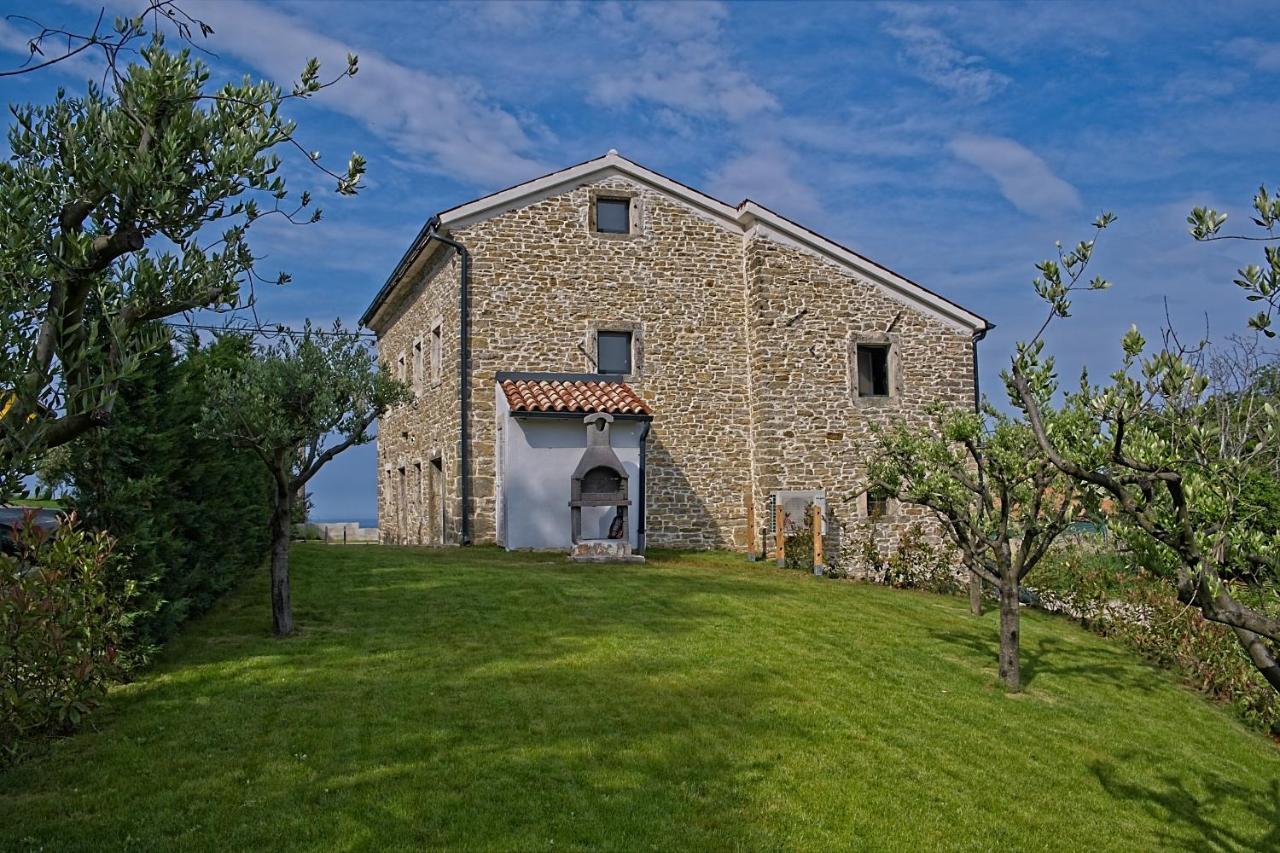 Villa Carica Krasica  外观 照片